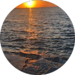 Profile photo of C Brown