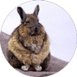 Profile photo of M J