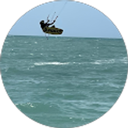 Profile photo of Steve Dail