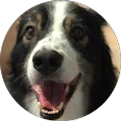 Profile photo of John Davis