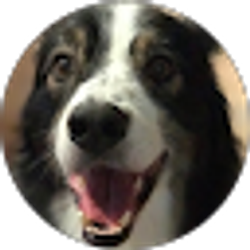 Profile photo of John Davis
