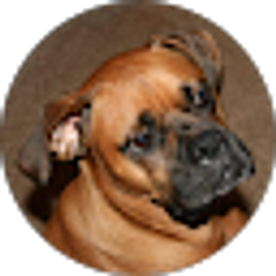 Profile photo of Kinni Bailey
