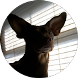 Profile photo of Jenna