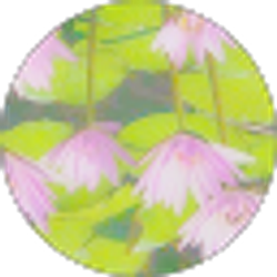 Profile photo of Olivia Langner