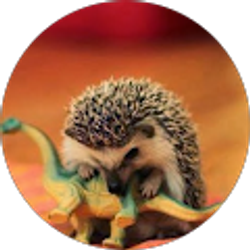 Profile photo of Alix Wimberley