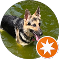 Profile photo of David Barr