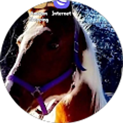 Profile photo of James Farley