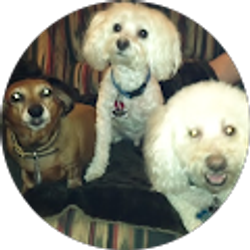 Profile photo of Gay Nell Bishop