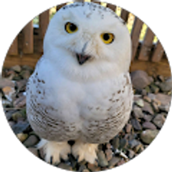 Profile photo of Anna Mauller