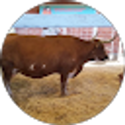 Profile photo of Ryan Garcia