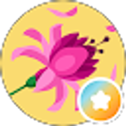 Profile photo of Samar Daoud