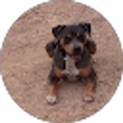 Profile photo of Erin Wallace