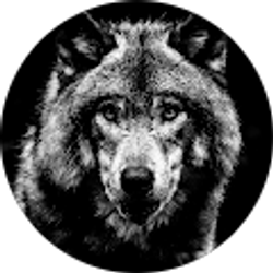 Profile photo of Eli Ben Israel