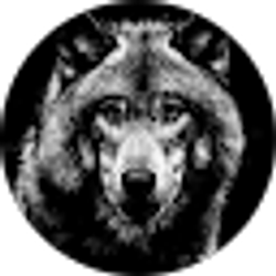 Profile photo of Eli Ben Israel