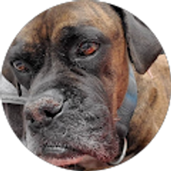 Profile photo of Landon