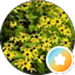 Profile photo of Joe Mynhier