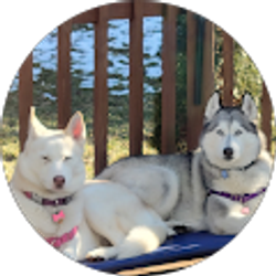 Profile photo of Jackie Del Rio