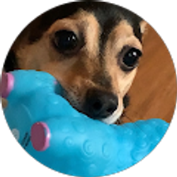 Profile photo of Mia Slater
