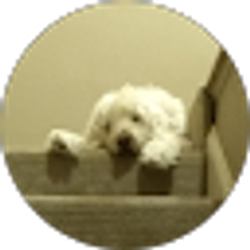 Profile photo of Kelly Switzer