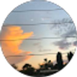 Profile photo of Yizel Ramirez