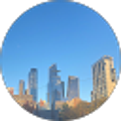 Profile photo of nyc bsns