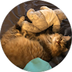 Profile photo of Kevin Valenski