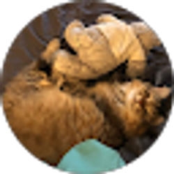 Profile photo of Kevin Valenski