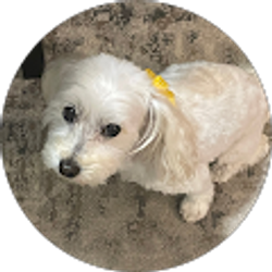 Profile photo of Delacey Barber