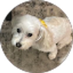 Profile photo of Delacey Barber