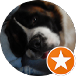 Profile photo of Will Smith