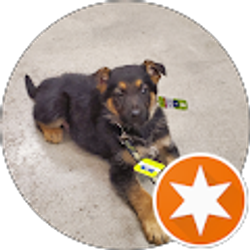 Profile photo of Joey G