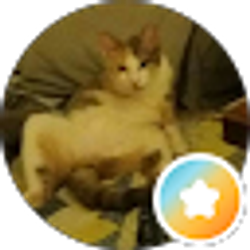 Profile photo of Ethan Querin