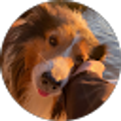 Profile photo of Sarah Holston