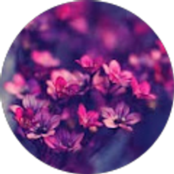 Profile photo of Taryn True