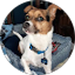 Profile photo of Amy Cummings