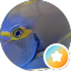 Profile photo of Heidi S
