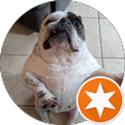 Profile photo of Scott Bennett