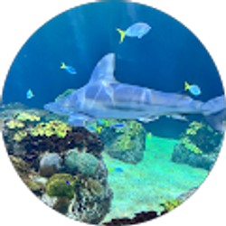 Profile photo of Nathan Berger