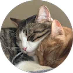 Profile photo of Cory Claseman