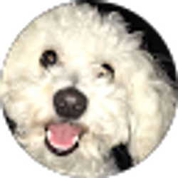Profile photo of A Epps