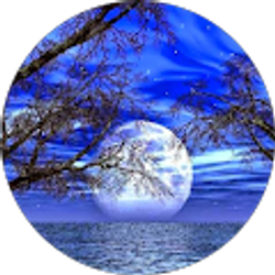 Profile photo of Kim Crawford