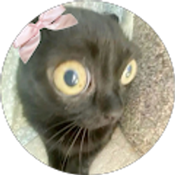 Profile photo of Makayla