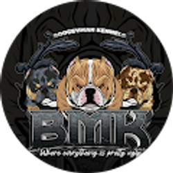 Profile photo of Bmk Smitty