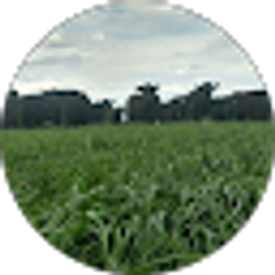 Profile photo of Paul H