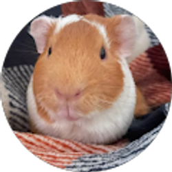 Profile photo of Abraham Cortina