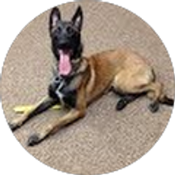 Profile photo of Austin Cobbley