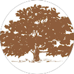 Profile photo of Debra Avalon