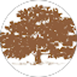 Profile photo of Debra Avalon