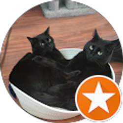 Profile photo of Brent Payne