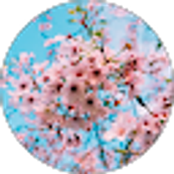 Profile photo of Robert Schoonmaker